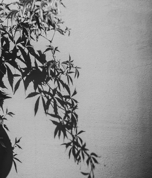Athlete stretching in a serene minimalist environment with soft lighting.